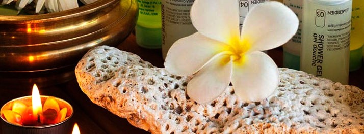 452/Silent Shores Resort & Spa - Mysore 10.jpg